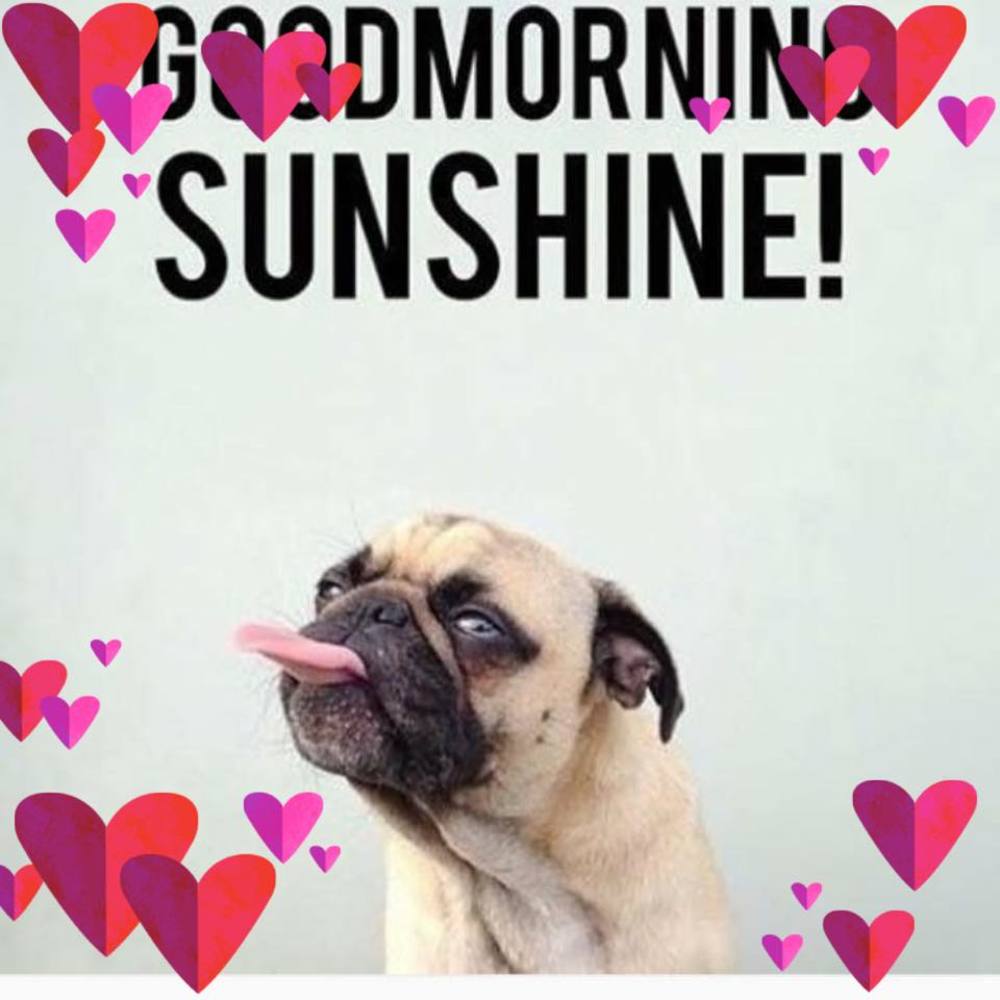 Meet your Posher, Karri